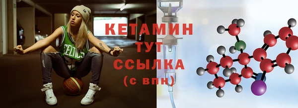 ПСИЛОЦИБИНОВЫЕ ГРИБЫ Горно-Алтайск