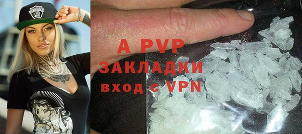 ПСИЛОЦИБИНОВЫЕ ГРИБЫ Горно-Алтайск